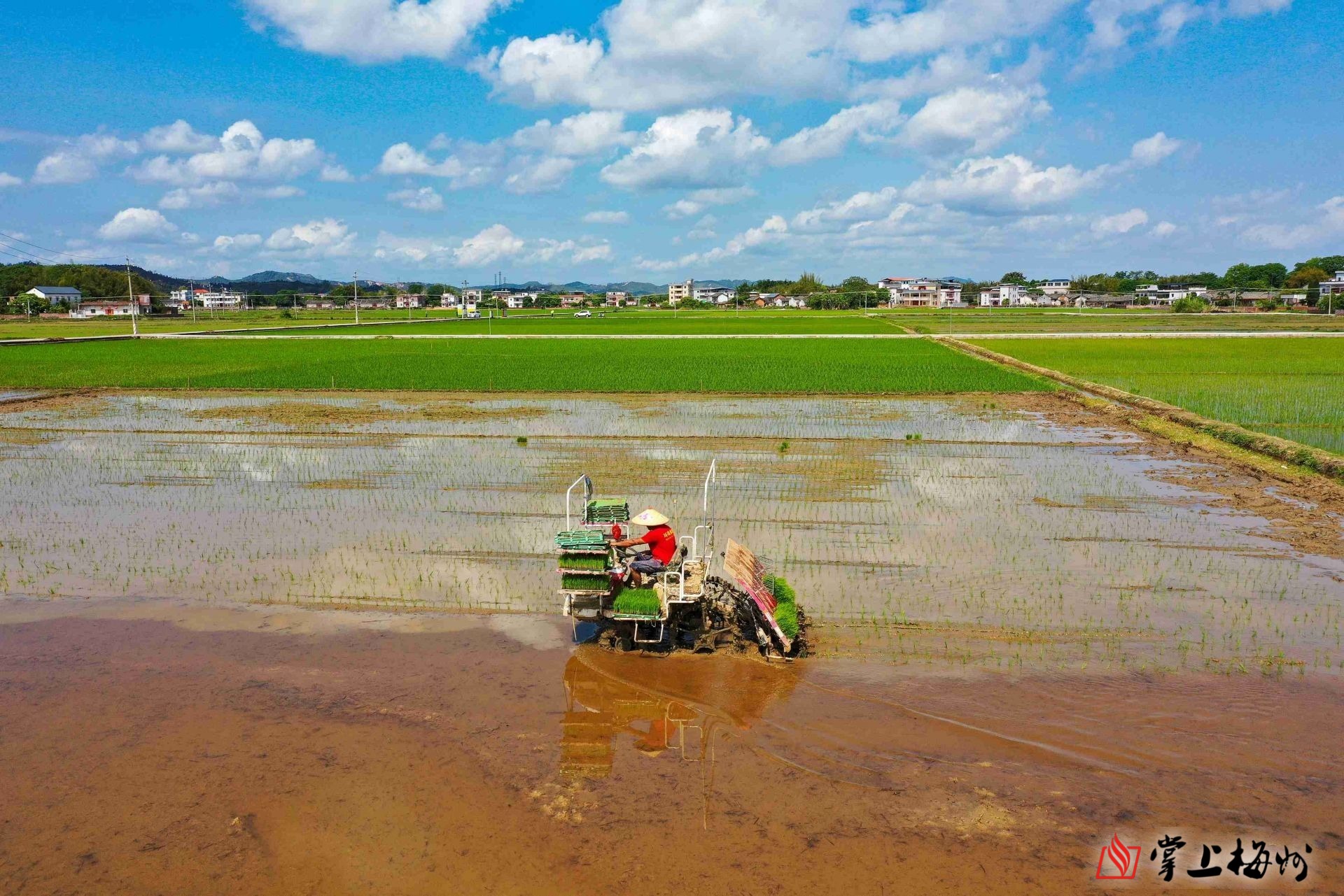 河南省闲置土地处置办法_河南省土地稽查举报电话_河南省空闲土地核查