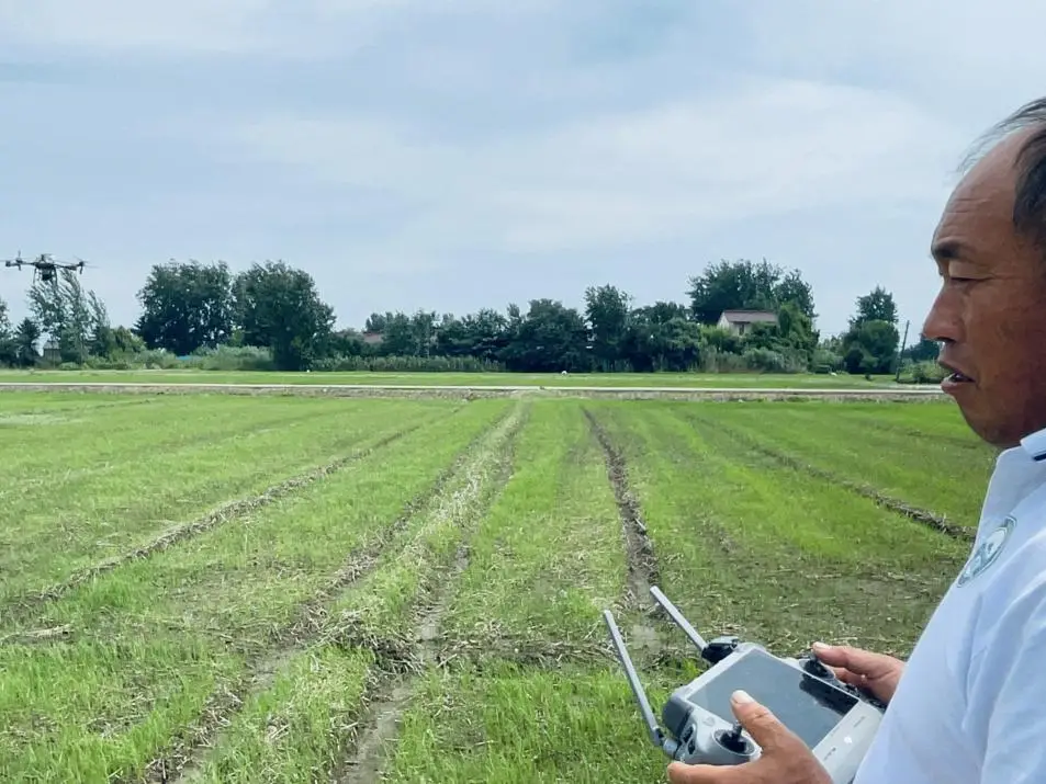 河南省土地稽查举报电话_河南省闲置土地处置办法_河南省空闲土地核查