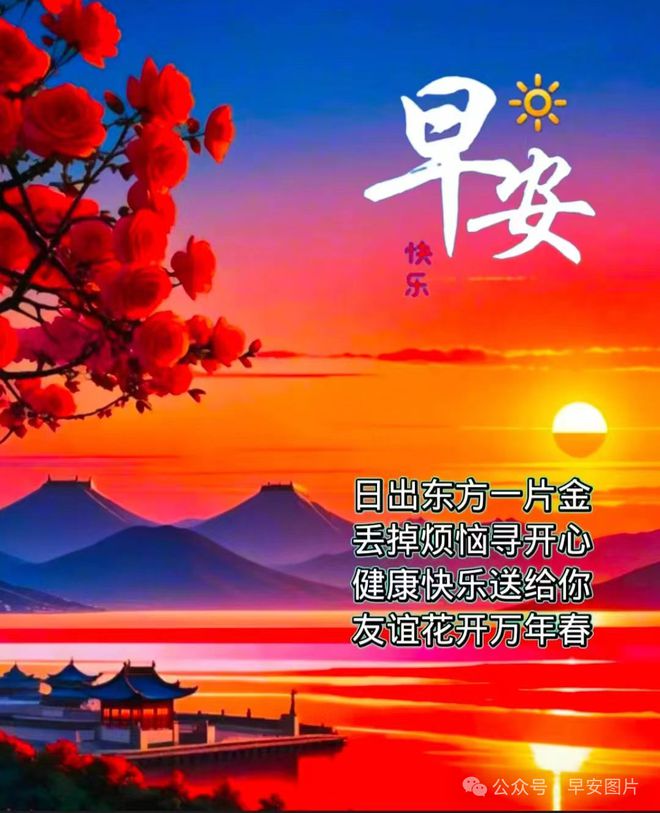 渝死不至_重庆渝l_至死不渝2024