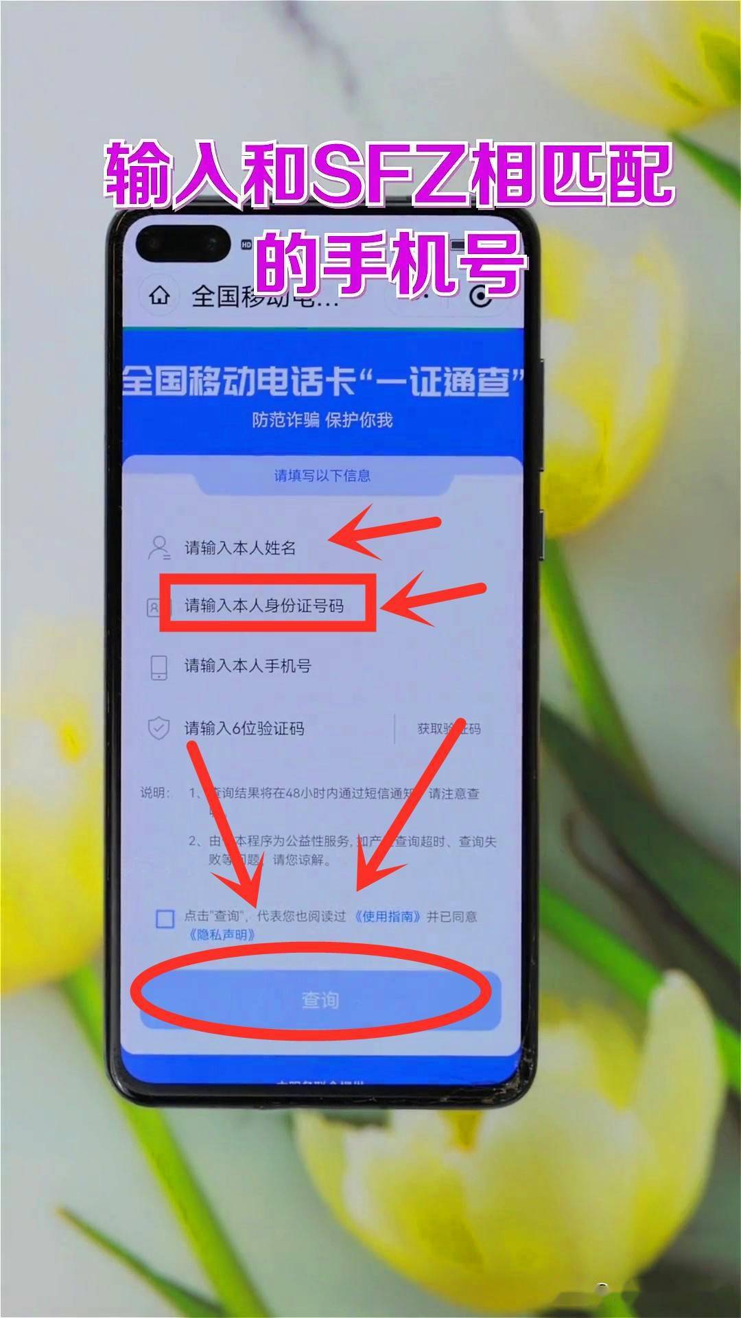 用身份证号可以查四级成绩吗_查成绩用身份证号可以吗_可不可以用身份证查考号