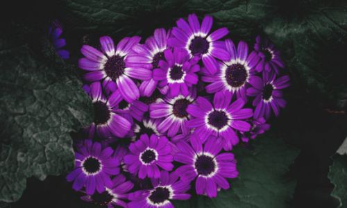 金虎时评_金虎时评_金虎时评