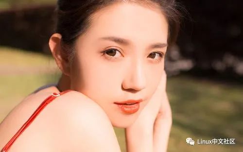 linux不会安装软件-在 Linux 上装软件为何如此复杂？软件源乱、教程难懂，出问题还没人帮