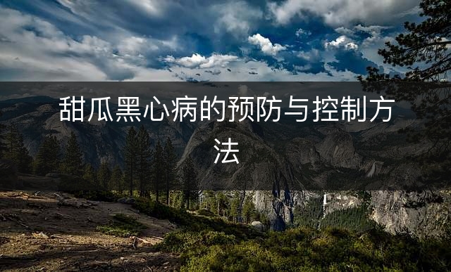 老年人肺炎吃什么好_肺炎老年吃好人参好吗_肺炎老人吃什么好