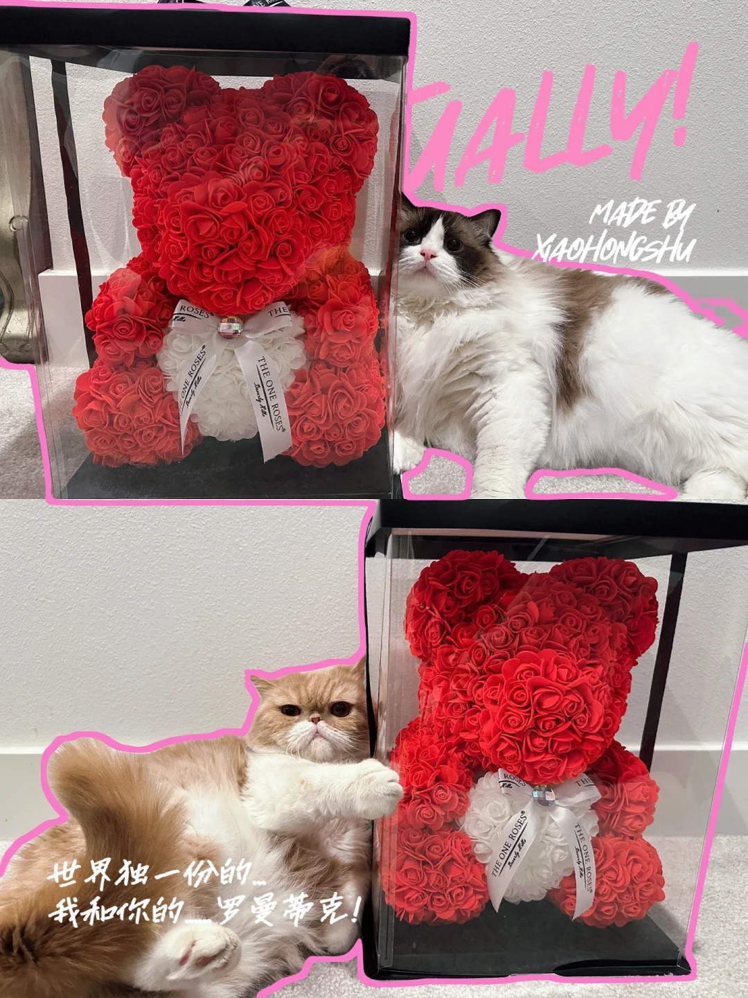 超级猫的图画：带你进入奇幻快乐世界，讲述勇气友谊梦想故事