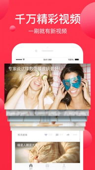西瓜app
