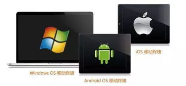 安卓系统与linux及苹果系统,技术融合与生态对比概述
