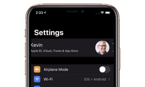 ios系统怎么玩安卓,iOS设备轻松体验安卓游戏与应用的攻略