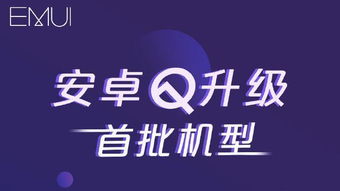 q飞安卓升级系统,解锁无限可能