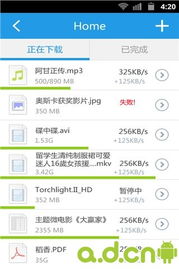 安卓系统显示迅雷文件,安卓系统下迅雷文件管理与应用技巧解析