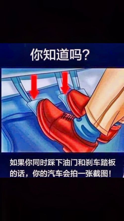 安卓系统安装桌面没有,这样我才能给出更准确的回答。