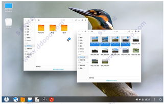 凤凰系统安卓平板rom,深度解析与全面评测