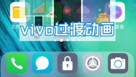 蓝厂安卓10系统