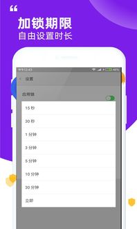 安卓系统怎样锁软件
