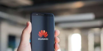 华为终止安卓系统更新