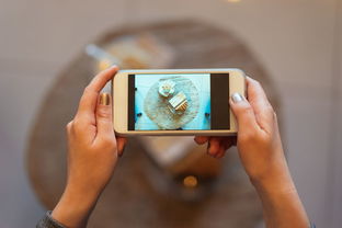 安卓系统的横向组成,模块化与协同运作的奥秘