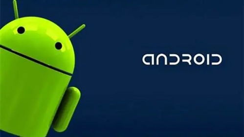 安卓系统很臃肿吗,深度剖析与优化策略