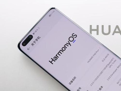 如何证明鸿蒙系统安卓,探究鸿蒙系统如何生成安卓应用