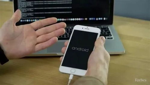 刷小巧的安卓系统,功能与特色一览