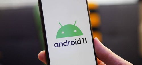 小米安卓12系统界面