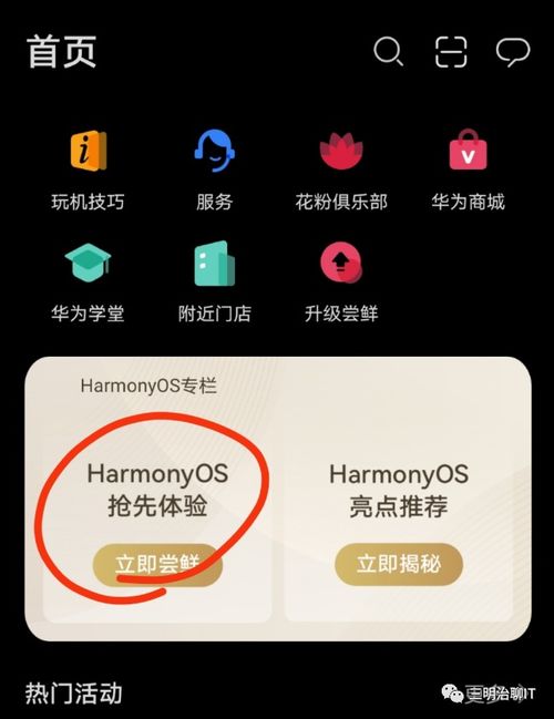 安卓系统如何升鸿蒙,轻松实现系统升级指南