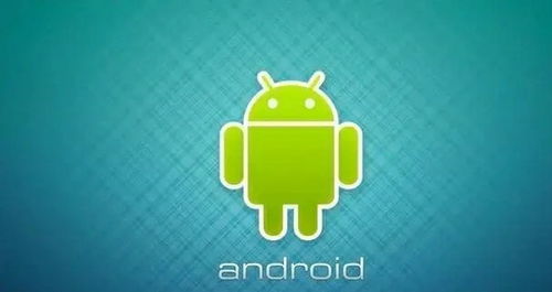 google要求安卓系统标志,打造专属安卓系统标志的完美指南