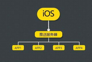 安卓系统级推送通知,实时互动与个性化体验的桥梁