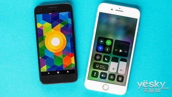 苹果系统和安卓体验,体验差异深度解析