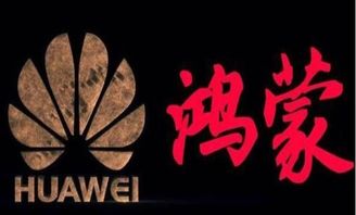 鸿蒙电脑双系统安卓,安卓生态的全新演绎