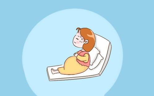 顺产攻略系统和安卓,安卓系统下的全程指导与贴心建议