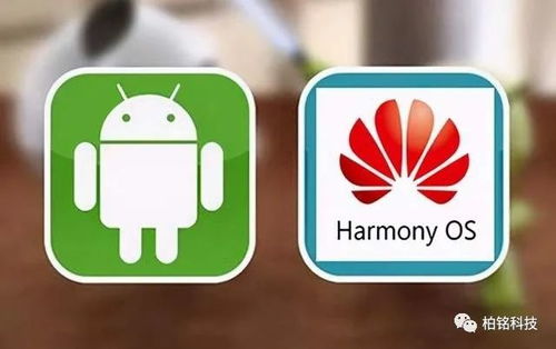 鸿蒙系统与谷歌安卓,两大操作系统的发展与竞争