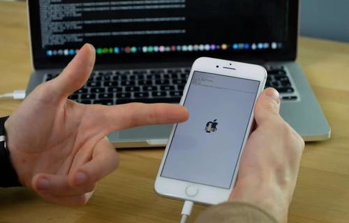 苹果什么体验安卓系统,跨界融合的全新探索之旅