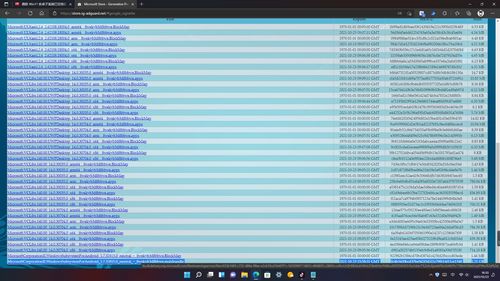 安卓子系统应用权限,全面掌控应用权限管理