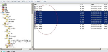 安卓文件夹系统,结构布局与功能解析